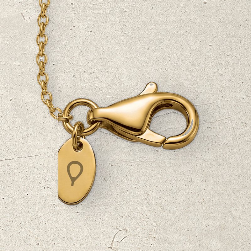 The Corund lobster clasp with its tag and the boule mark, on pale limestone