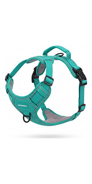 Everyday Harness