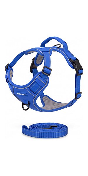 Puppy Set