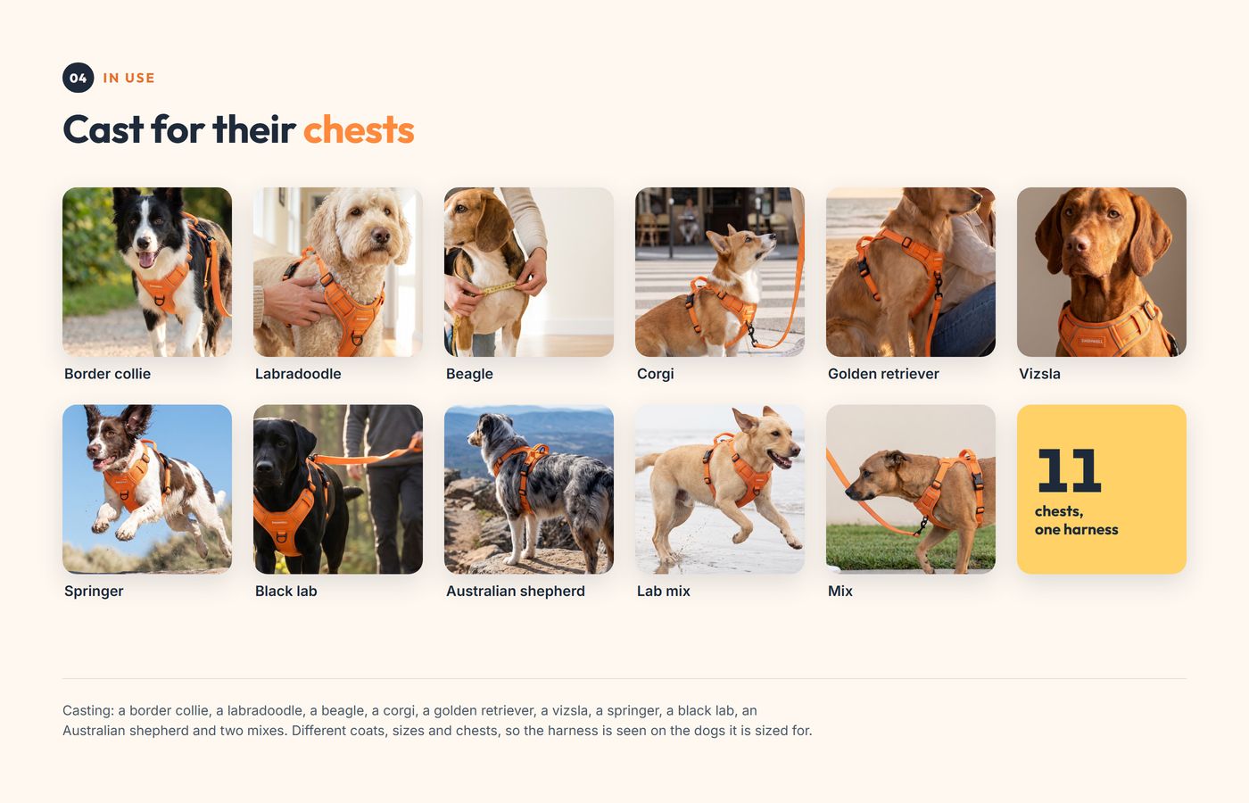 Cast for their chests: a grid of eleven dogs of different breeds in the same harness, with casting notes