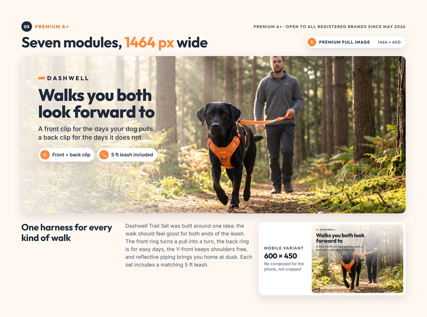 Chapter 05, Premium A+: module 1, a black lab and a man on a forest trail, the full-width image with its mobile variant