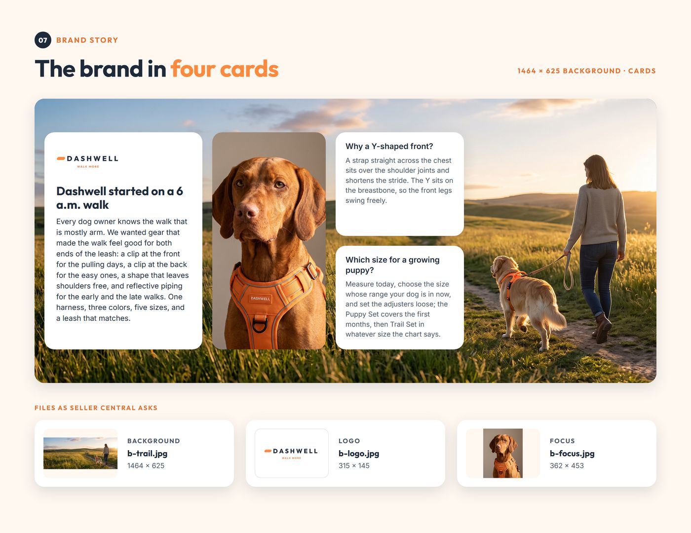 Chapter 07, Brand Story: background, logo card, two questions