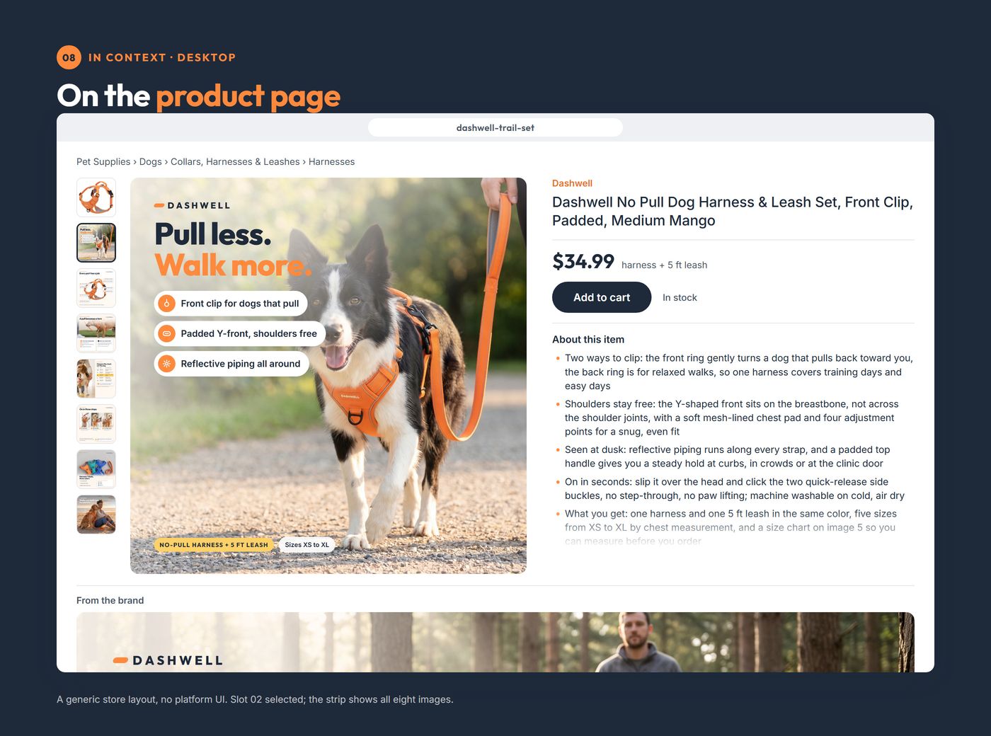 Chapter 08, on the product page: a neutral store layout on desktop