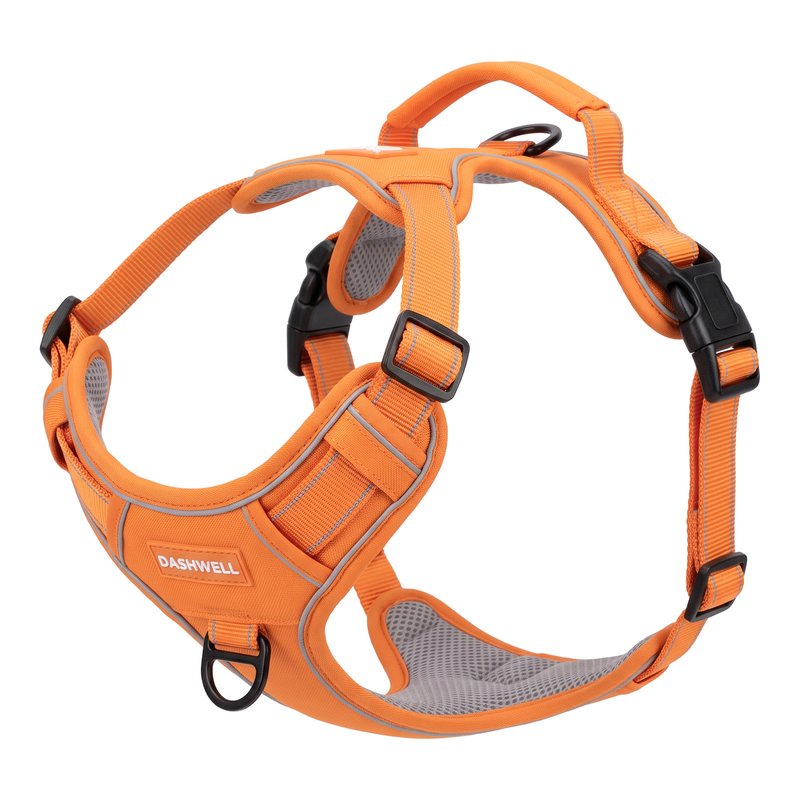 Dashwell no-pull dog harness in mango orange, front three-quarter view on white