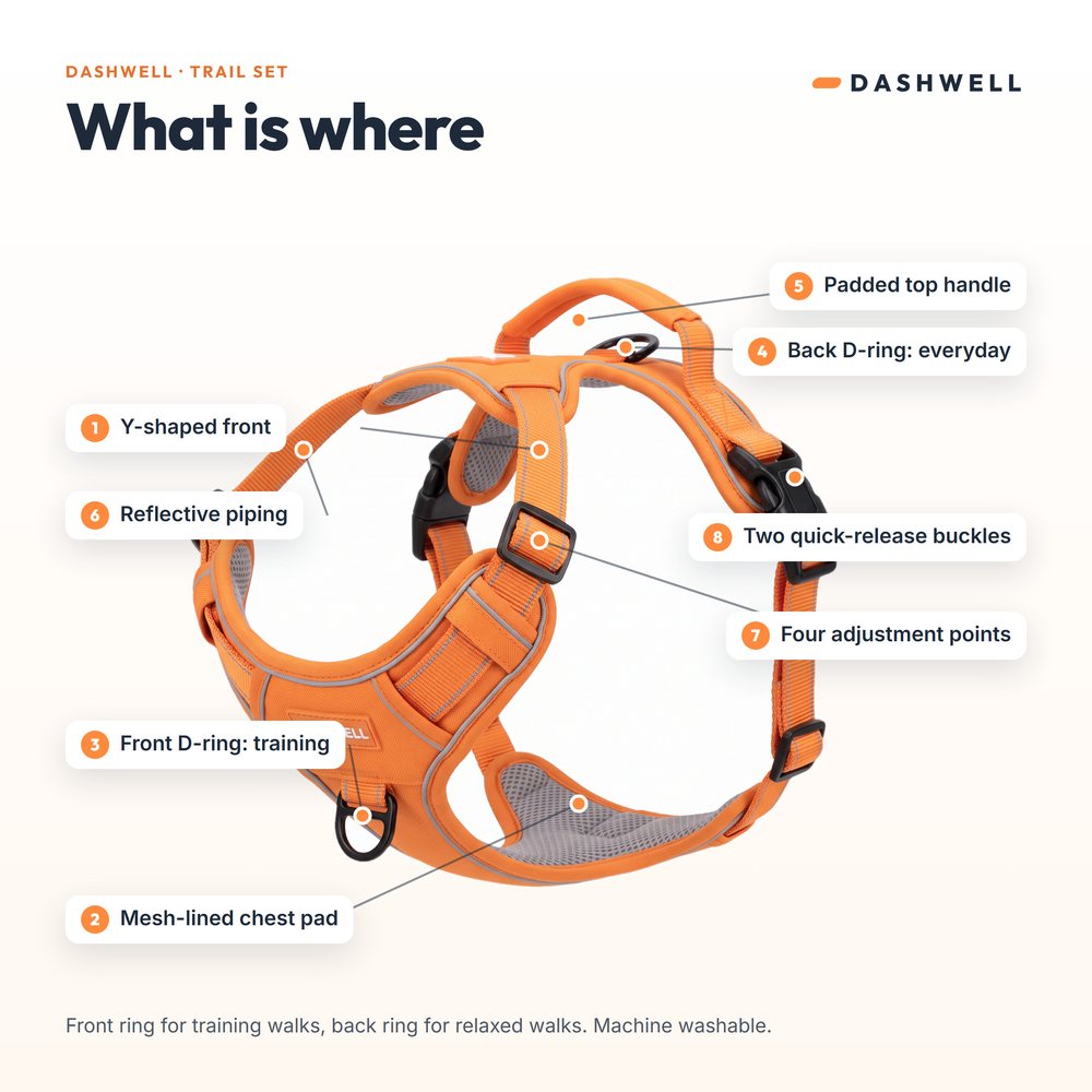 Dashwell harness with eight labeled parts: Y-front, mesh pad, D-rings, handle, piping, buckles