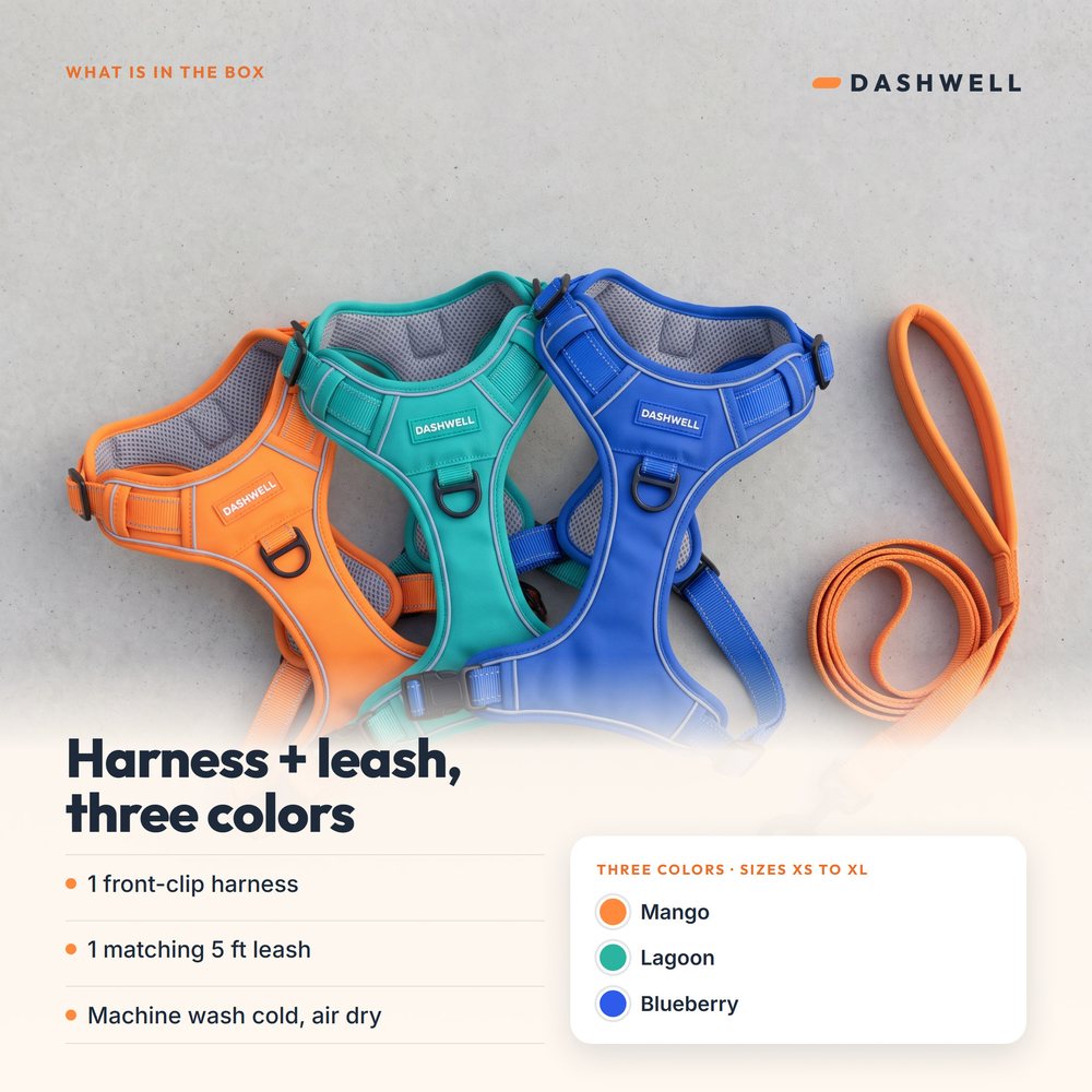 Flat lay of the Dashwell harness in Mango, Lagoon and Blueberry with the matching 5 ft leash