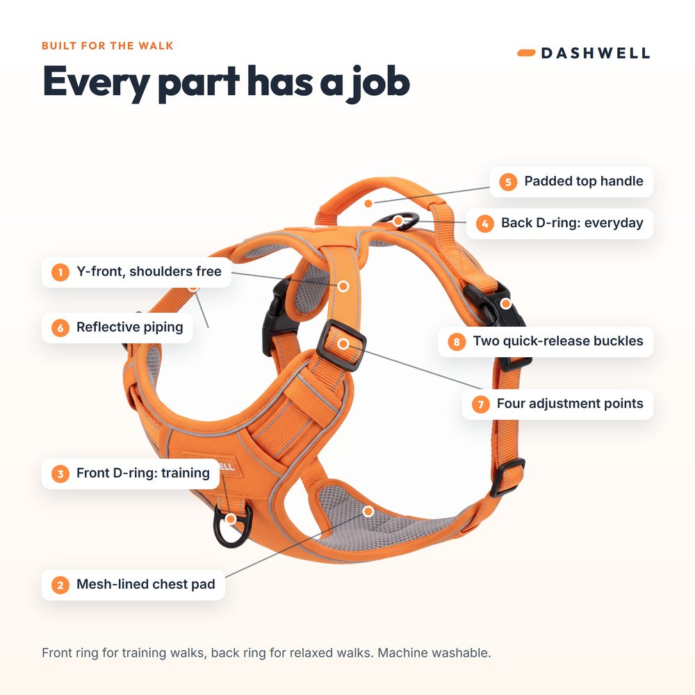 Dashwell harness with eight labeled parts: Y-front, mesh pad, D-rings, handle, piping, buckles
