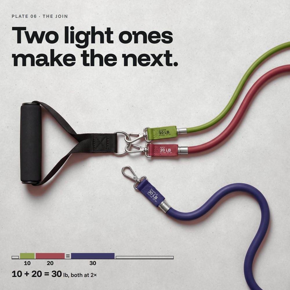 Evenhold handle with the green 10 and the red 20 clipped to one D-ring, the purple 30 beside