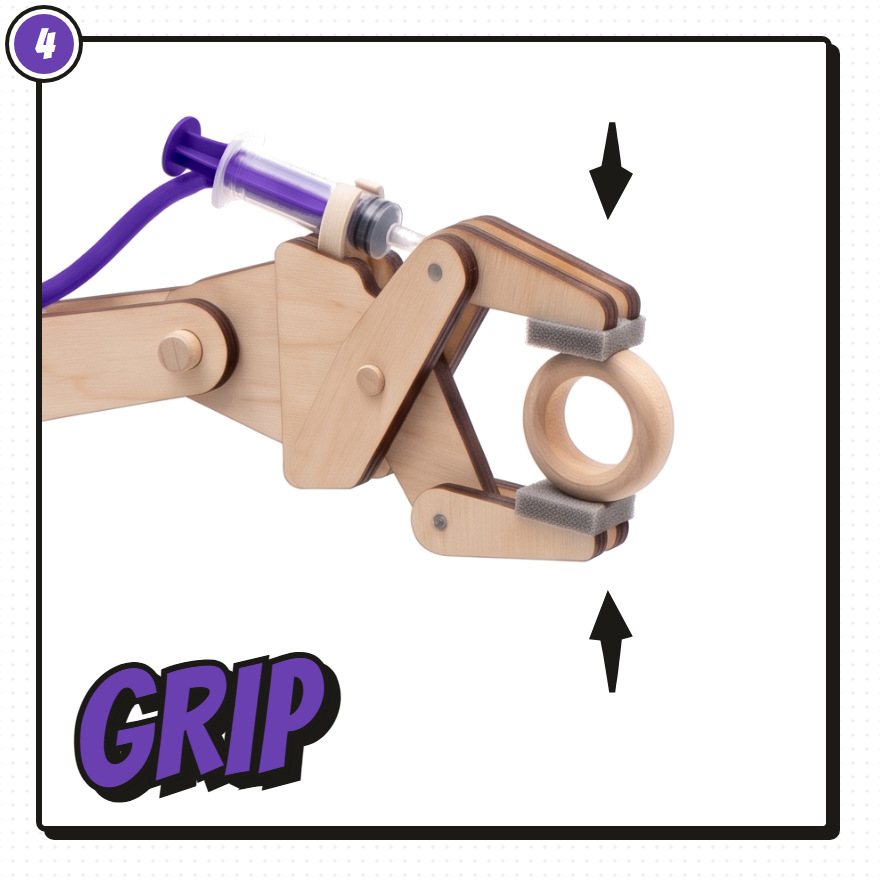 Fulcra arm, the violet line and the closing gripper