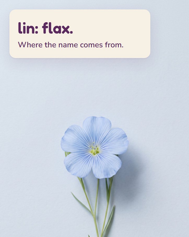 A single flax flower on blue-grey paper