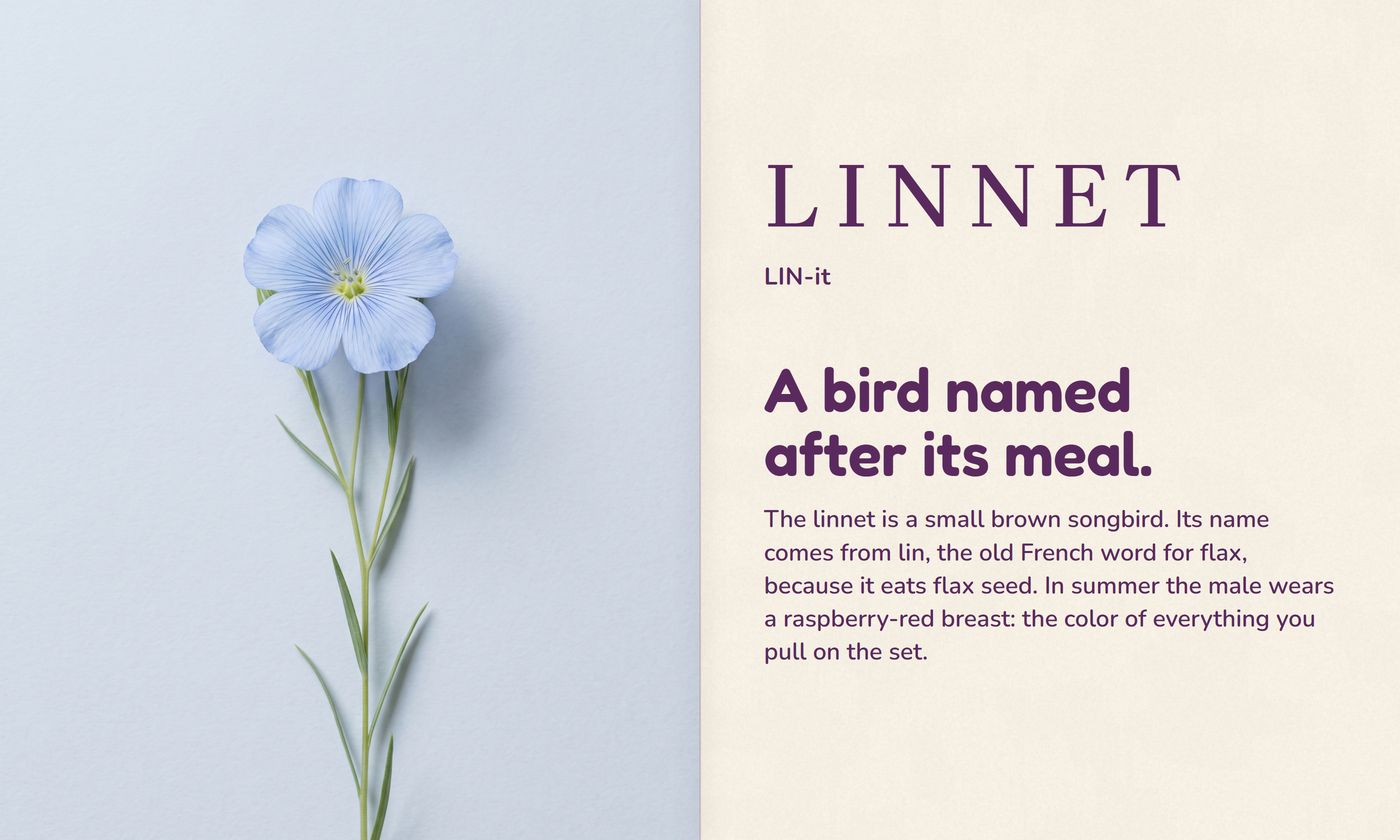 The name: a flax flower across one page; on the other LINNET, 'LIN-it' and 'A bird named after its meal.'