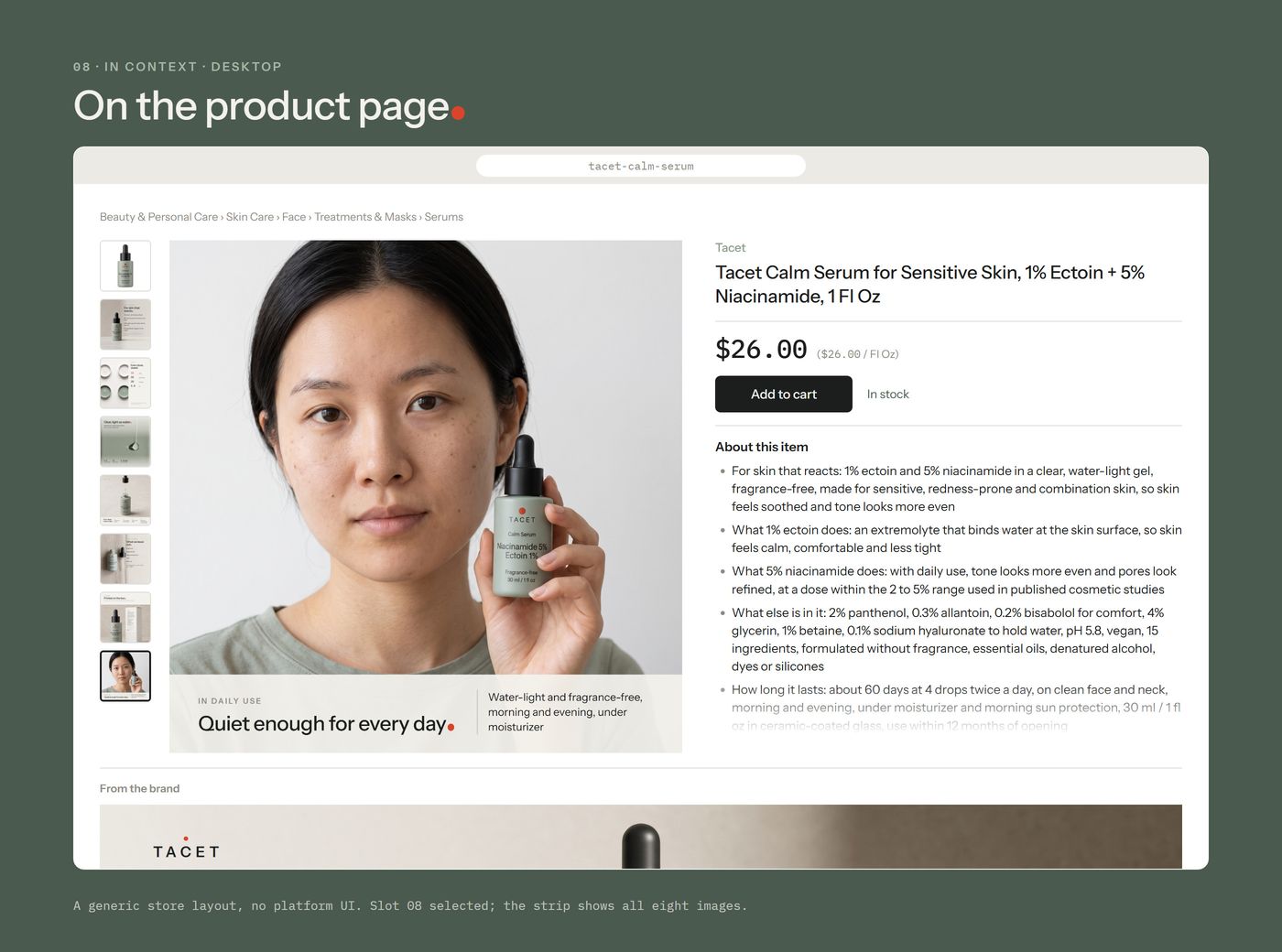 Chapter 08, on the product page: a neutral store layout on desktop