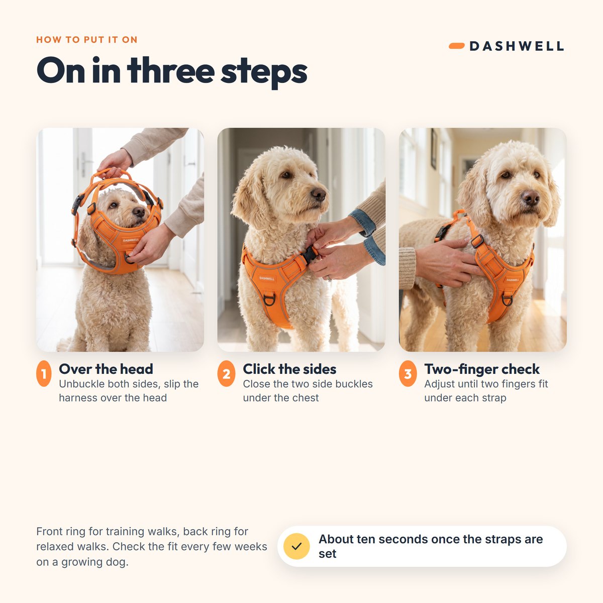 Three steps: harness over the head, side buckles clicked, two-finger fit check