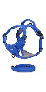 Puppy Set